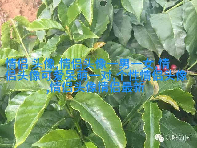 2023年最美的微信头像(精选24张)