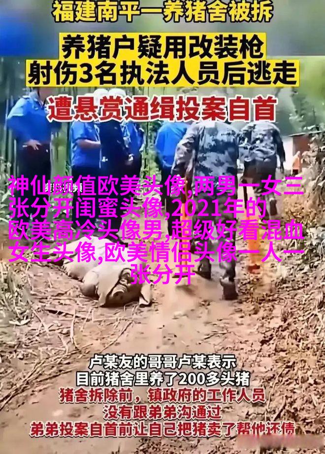 很小众却很惊艳的欧美头像(共18张)