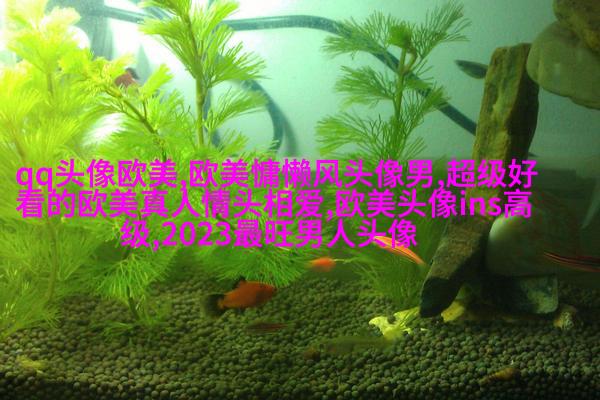 惊艳的欧美头像(精选12张)