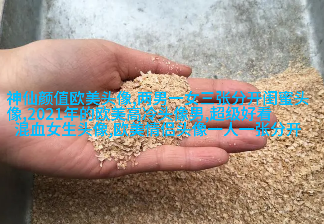 很小众却很惊艳的欧美头像(共18张)