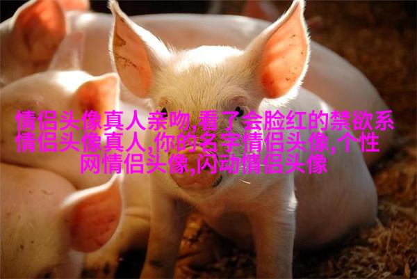 2023最火情侣头像真人一男一女(优选24张)