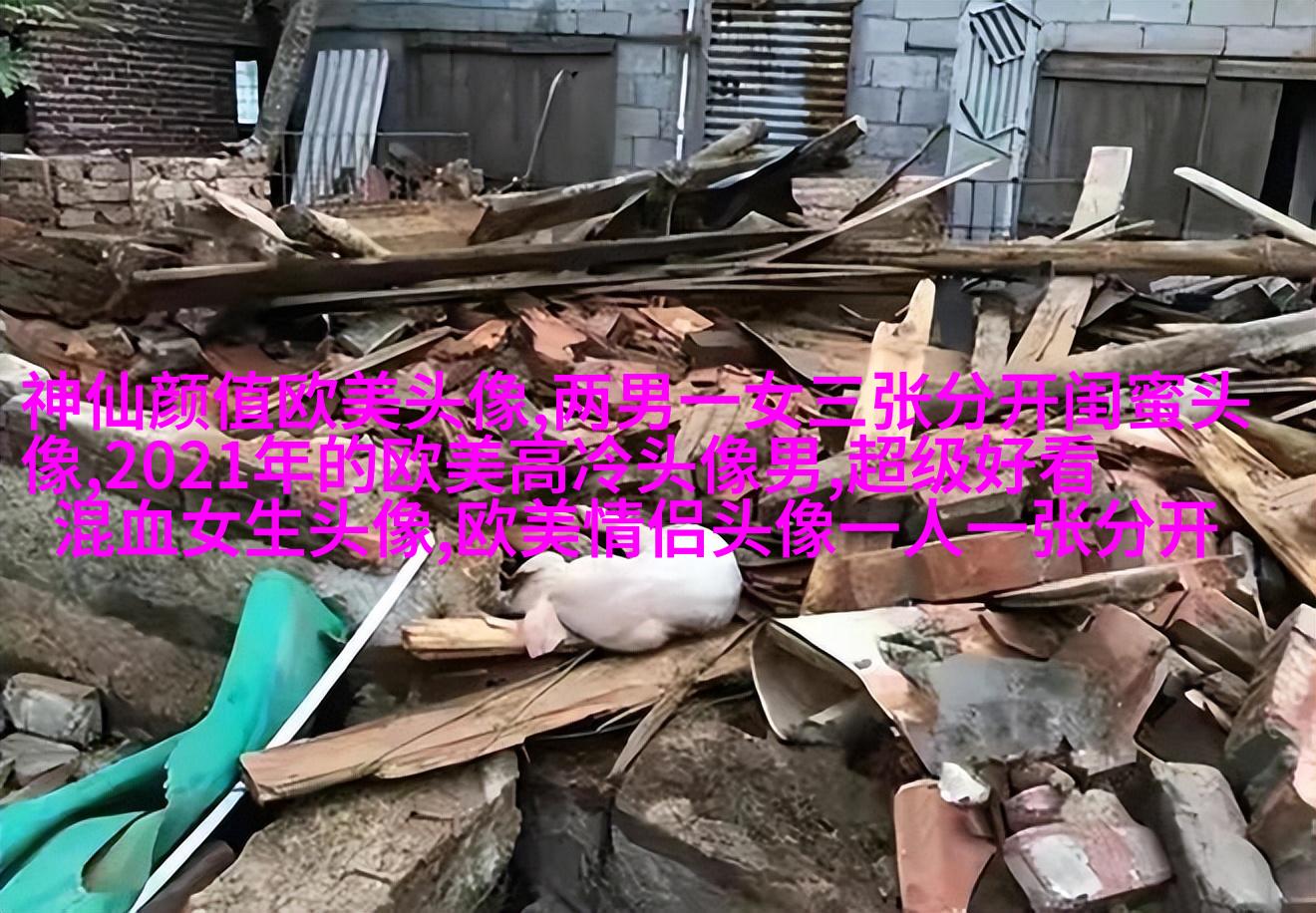很小众却很惊艳的欧美头像(共18张)