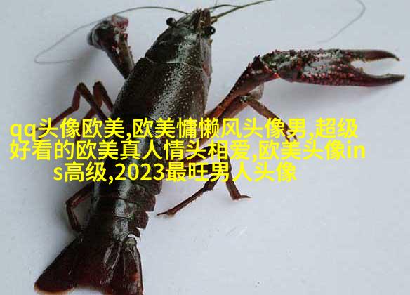 惊艳的欧美头像(精选12张)
